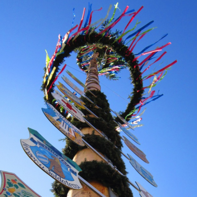 Maibaum Maibaum