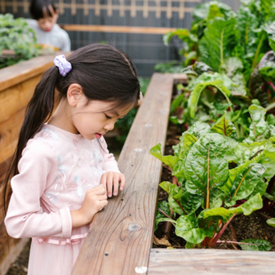 Was man essen möchte, muss zuvor angebaut werden. Ein kleines Mädchen mit einem Pferdeschwanz steht an einem Holz-Hochbeet im Garten und schaut sich neugierig die grünen Pflanzen darin an. Im Hintergrund steht noch ein weiteres Kind zwischen den Beeten.