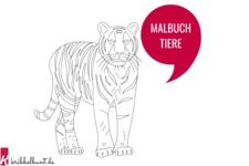 Malbuch Tiere