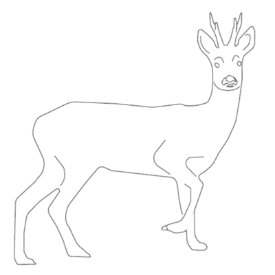 Reh Ausmalbild