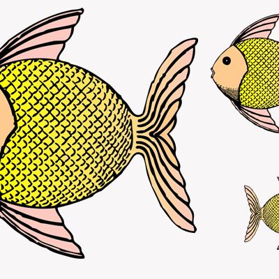 Warum haben Fische Schuppen?