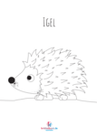 Ausmalbild Igel