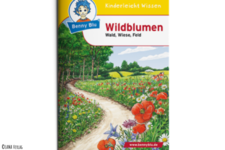 Benny Blu- Wildblumen