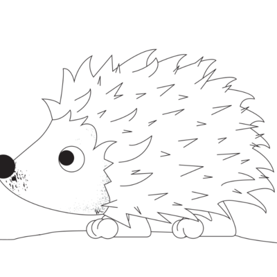 Igel Ausmalbild