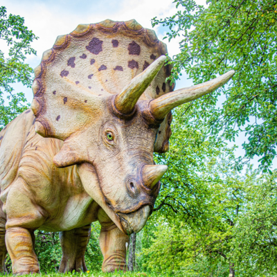 Triceratops - Dinosaurier mit 3 Hörnern
