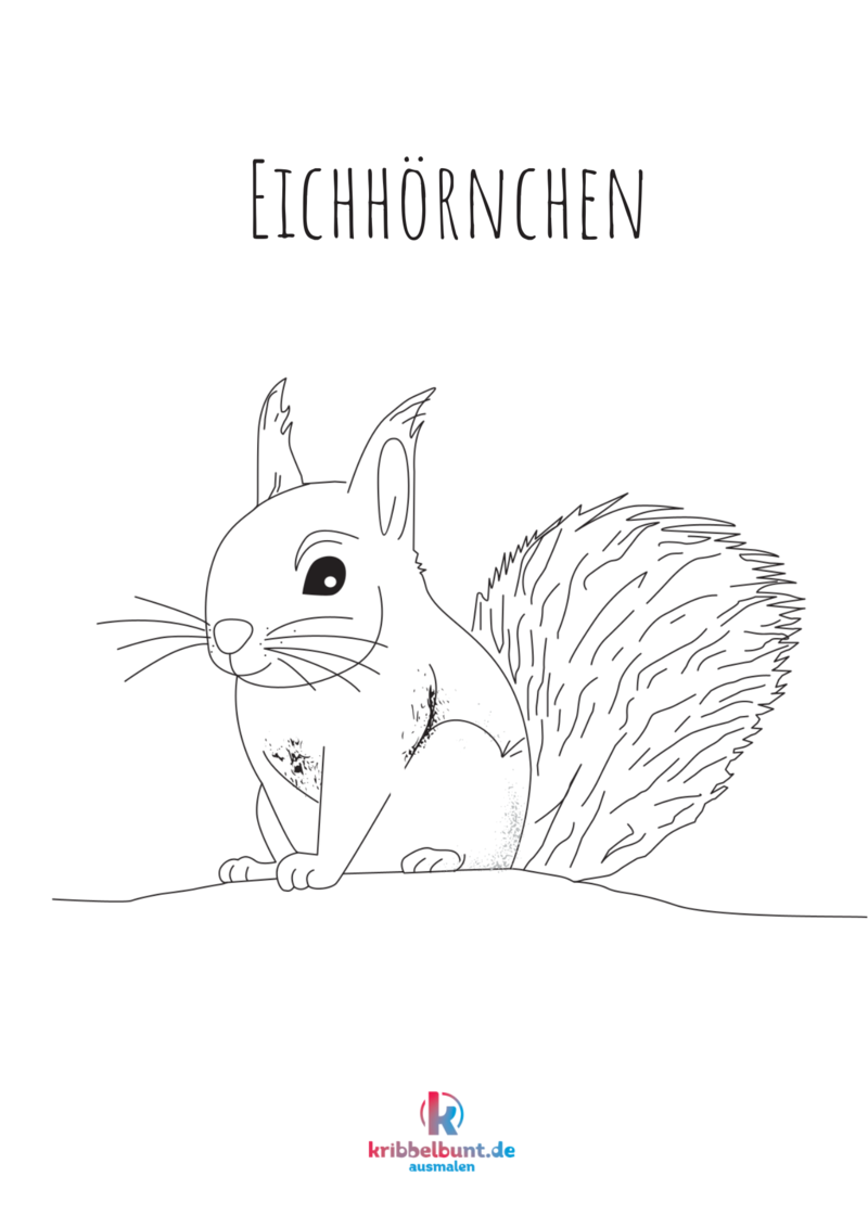 Eichhörnchen Ausmalbild » Eichhörnchen Malvorlage | Kribbelbunt