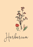 Herbarium Deckblatt 1