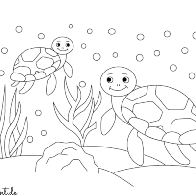 Ausmalbild Schildkröte