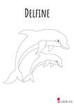 Delfin - Malbuch Tiere