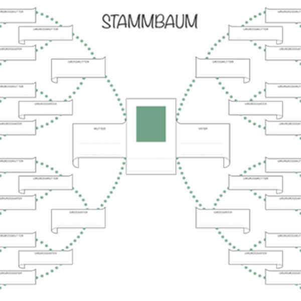 Stammbaum Vorlage