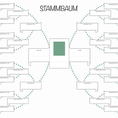 Stammbaum Vorlage