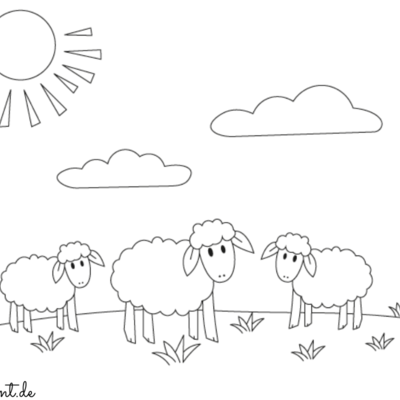 Ausmalbild Schaf