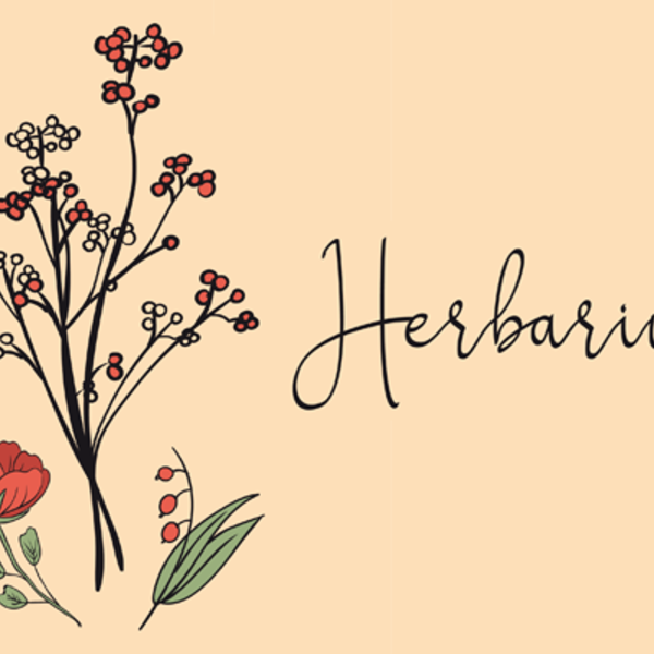 Herbarium Deckblatt