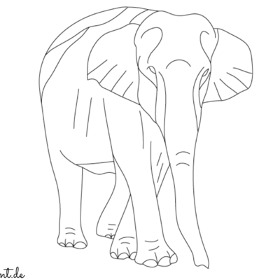 Ausmalbild Elefant zum Ausdrucken