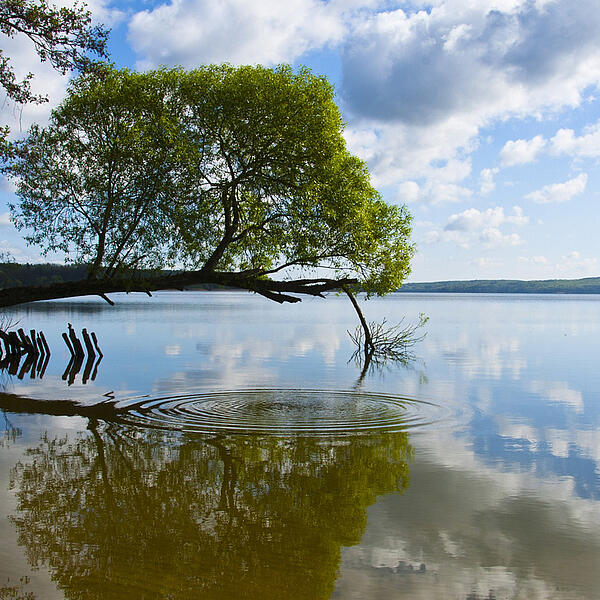 Tollensesee Neubrandenburg