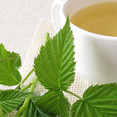 Himbeerblättertee - Schwangerschaft & Co.