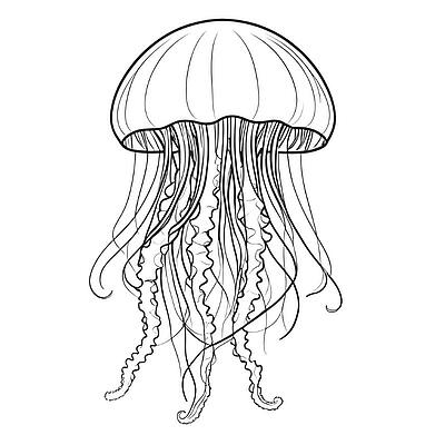 Qualle Ausmalbild