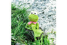 Frosch Frank