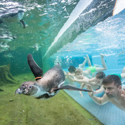 Erlebnisbad Spreewelten