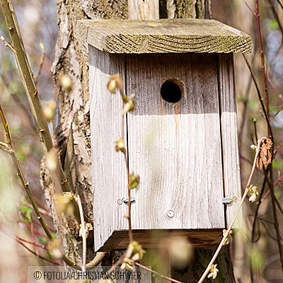 Vogelhaus Bauanleitung PDF
