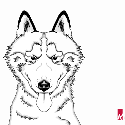 Ausmalbild Hund - Ausmalbild Husky