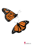 Schmetterling Vorlage 9
