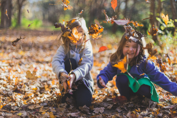 Basteln - Herbst - Vorlagen - Halloween