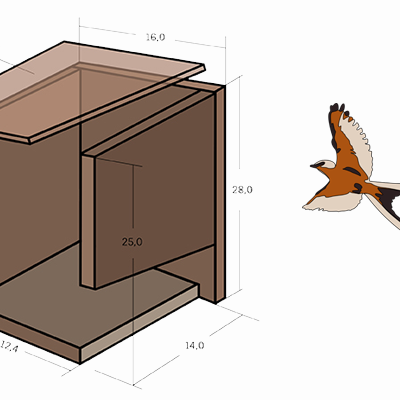 Vogelfutterhaus selber bauen