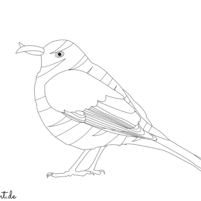 Ausmalbild Tigeramsel