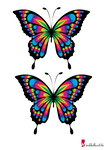 Schmetterling Vorlage 10
