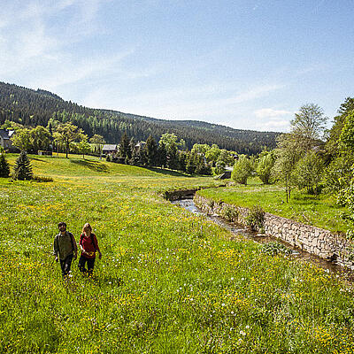 Wandern im Erzgebirge mit Kindern Wandern im Erzgebirge mit Kindern
