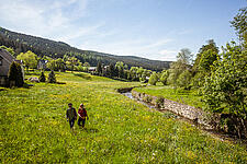 Wandern im Erzgebirge mit Kindern