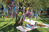 Baum voller Zuckertüten