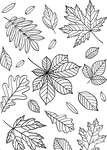 Herbst Blätter Vorlage zum Ausdrucken 
