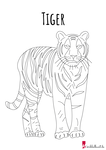Tiger Ausmalbild als PDF