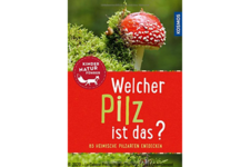 "Welcher Pilz ist das?"