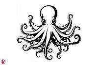 Malvorlage eines Tintenfisch