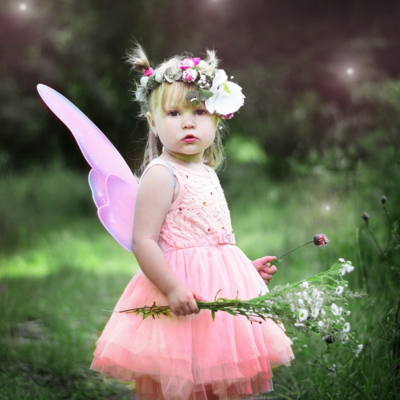 Gute-Nacht-Geschichte "Feengeburtstag" 