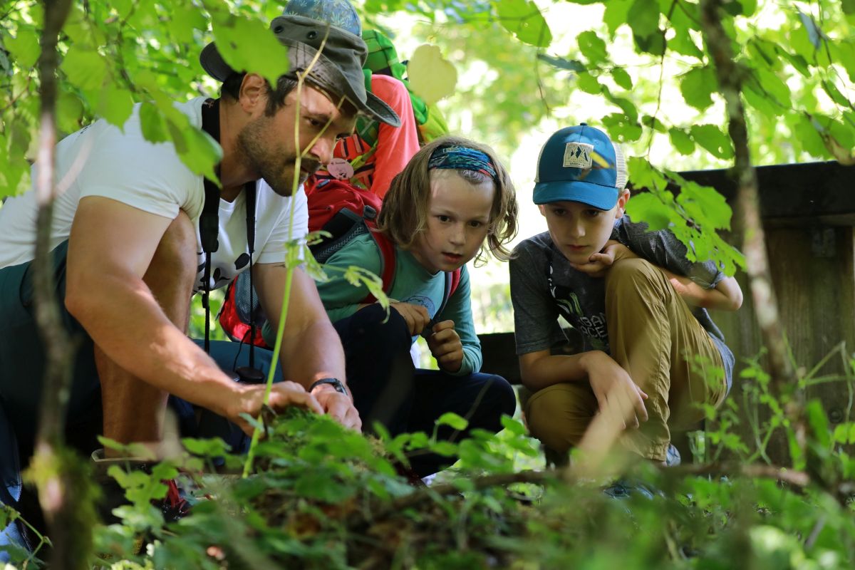 WWF Junior Camps