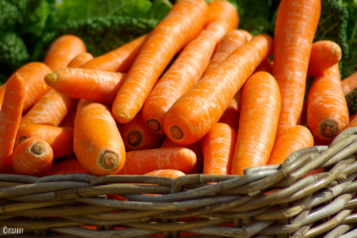 Die beliebtesten Gerichte bei Kindern inkl. Rezepten