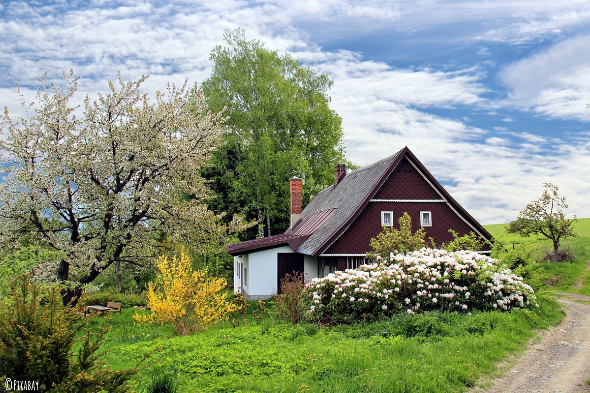 Gute-Nacht-Geschichte "Traumhaus"