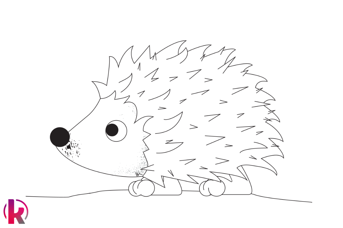 Igel Ausmalbild