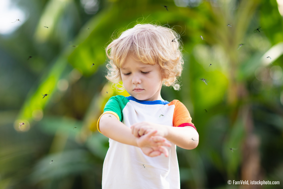 Insektenstich bei Kindern