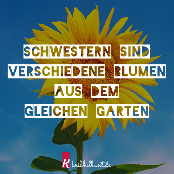 Spruch zum Nachdenken #29