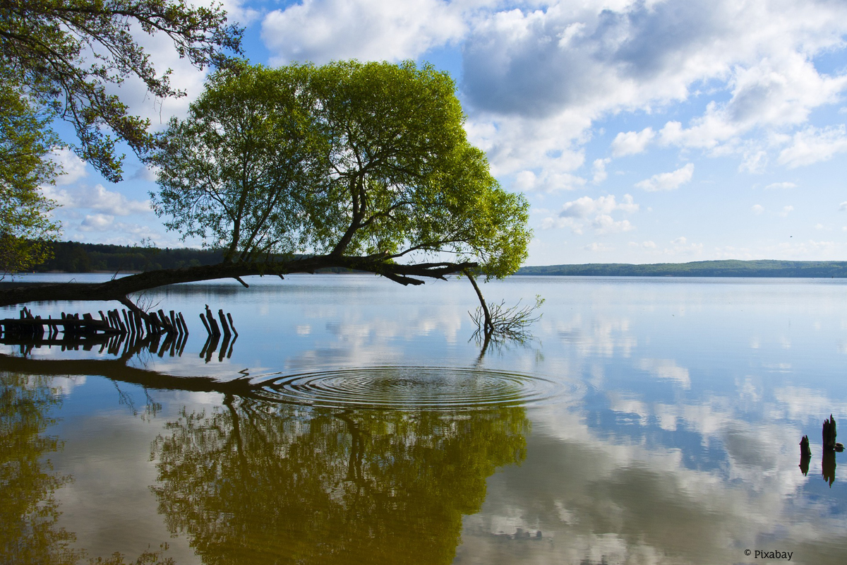 Tollensesee Neubrandenburg