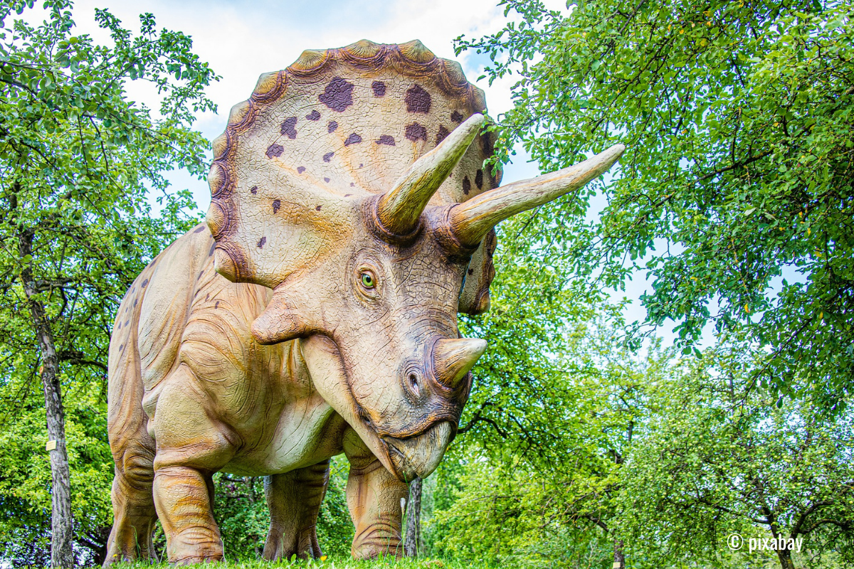 Triceratops - Dinosaurier mit 3 Hörnern