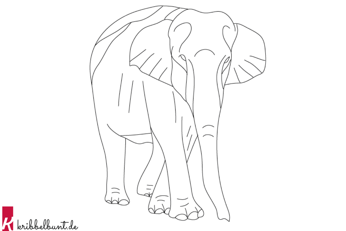 Ausmalbild Elefant zum Ausdrucken
