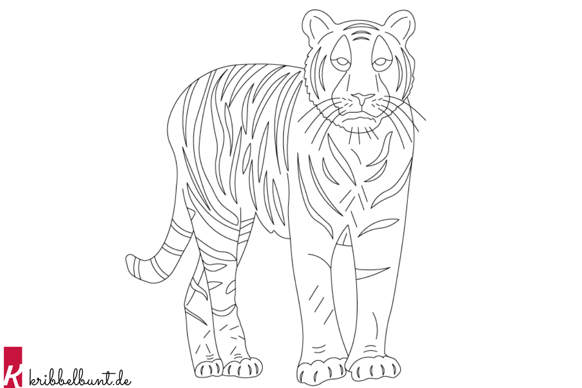 Ausmalbild Tiger » Zum Ausdrucken als PDF   Kribbelbunt