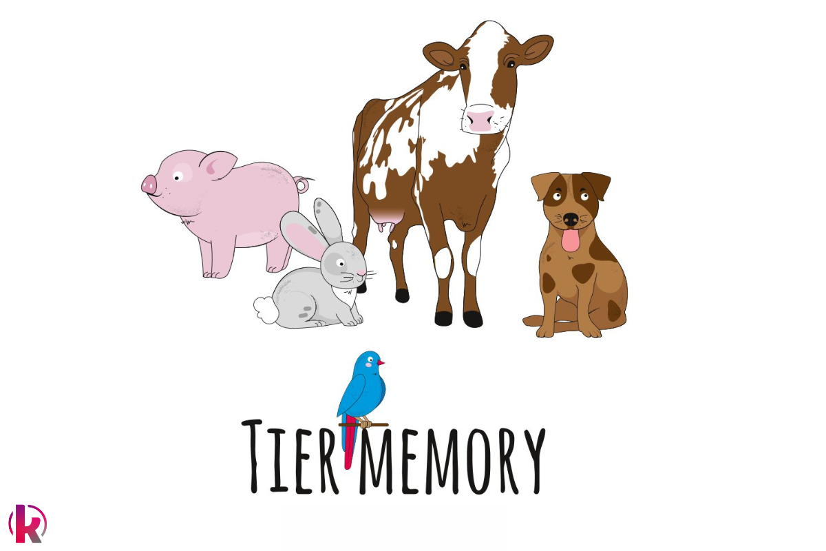 Tier Memory