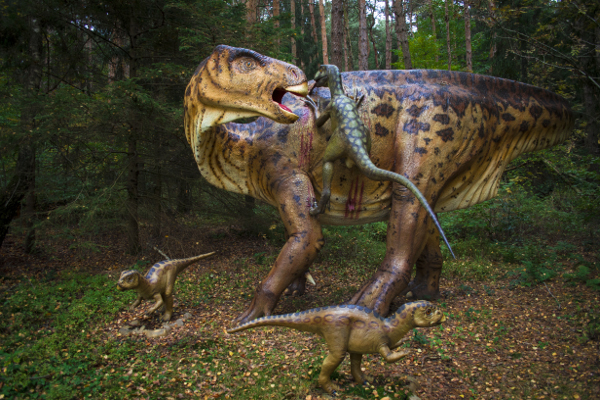 DinosaurierFreilichtmuseum M\u00fcnchehagen  Kribbelbunt